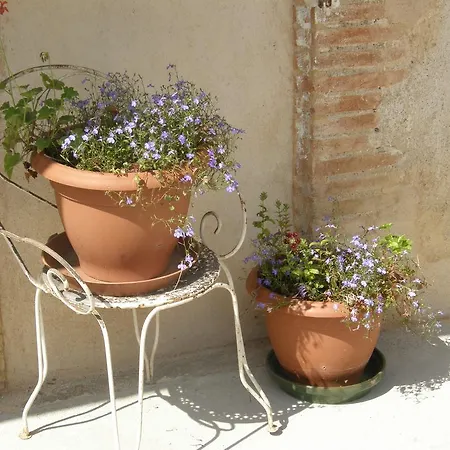Bed & Breakfast Le Gite Cocagne Damiatte